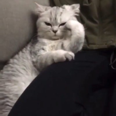 ᵔᴥᵔさんのプロフィール画像
