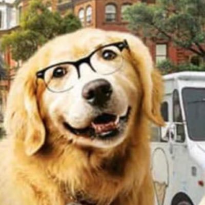 Rechazo_2022_'s profile picture. 