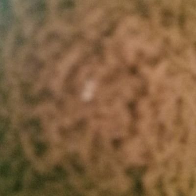 faiq_choudhary's profile picture. 