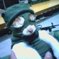 tomson2311 (@blurp2311) 's Twitter Profile