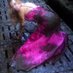 Dresses Covered in Nut (@cumonherdress) Twitter profile photo Dresses Covered in Nut (@cumonherdress) Twitter profile photo