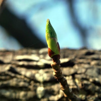 AstySgw's profile picture. 