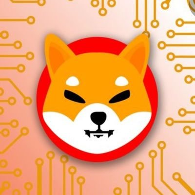 iman_moein's profile picture. shib is the future⚡🚀🌙