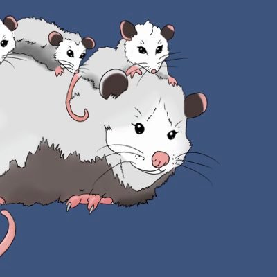 GnatOfJudgement's profile picture. Anarcho-Totalitarian-Accelerationist-Primitivist-Collectivist Individualist-Syndicalist-Capitalist-Georgist-Landlord-PeePee-PooPoo. I just wanna play halo man.