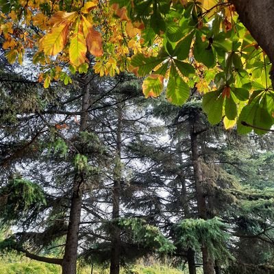 ERFE86115460's profile picture. eğlenmek