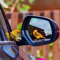 فخر المقبالي (@obaid12431130) Twitter profile photo