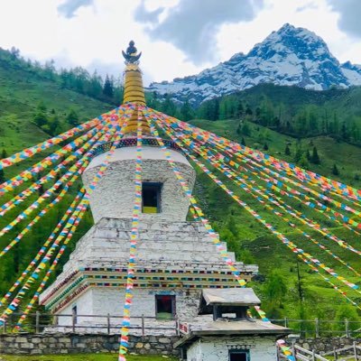 Viy00Z's profile picture. 