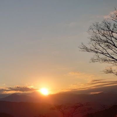 hNA733t1aNU69pz's profile picture. 機航