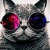 CoolestCat.hft (@coolcatja) Twitter profile photo CoolestCat.hft (@coolcatja) Twitter profile photo