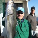 Steve Arbeitman - @TheSteveArb - Twitter