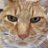 u_asami's profile image