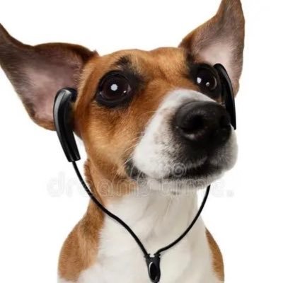 your uncles dogさんのプロフィール画像