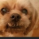 Walter Sylvia - @WalterSylvia10 - Twitter