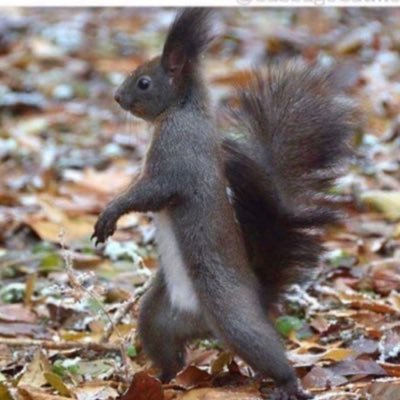 fookicks1's profile picture. lick my ass