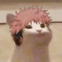 𝗆𝗂𝗓𝗓𝗌𝗈𝗃𝗎𝖻𝖺𝖽˚ ༘ ♡̵​ (slow)さんのプロフィール画像