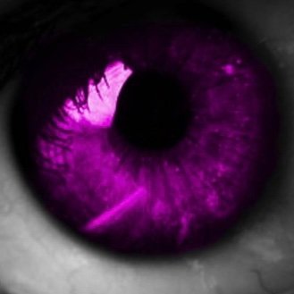 1eyepurpleeater Profile Picture