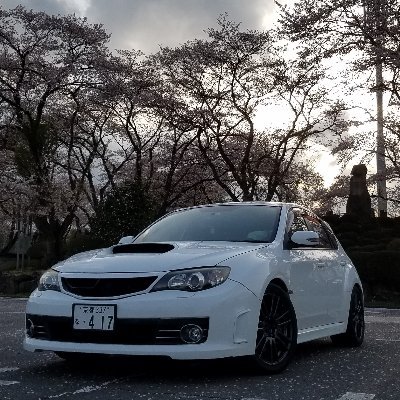 sti_fuji's profile picture. 