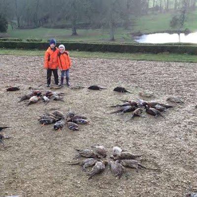 eric_poullain's profile picture. 