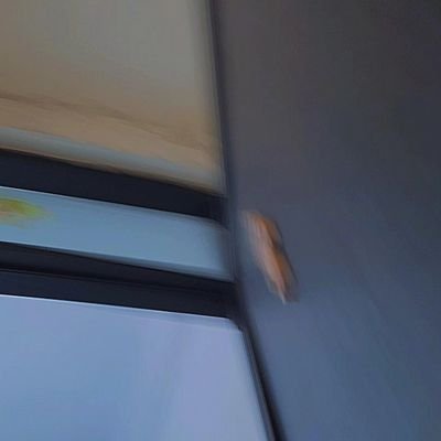 fijupecz's profile picture. 