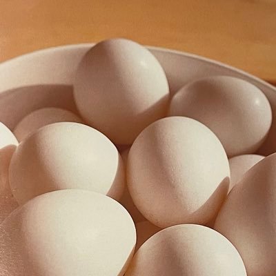 wandervogel_'s profile picture. 🦍🏡🌳