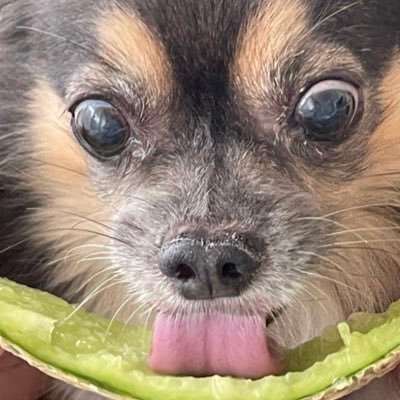 kabunattu's profile picture. プロフェッショナル目指して ●ツイートはあくまで個人の意見であり推奨・助言・勧誘を行う目的ではありません