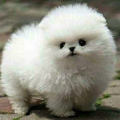 AlfredBrenny's profile picture. 