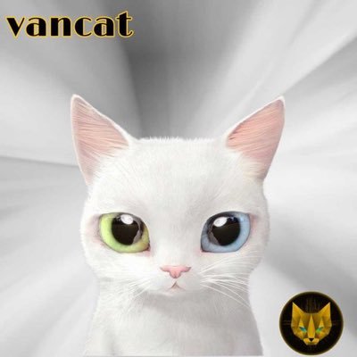 #VANCAT Fanatic!! #PayMeInVancat #VANCAT #HODLER #VANCATWALLET #BSC #NFT