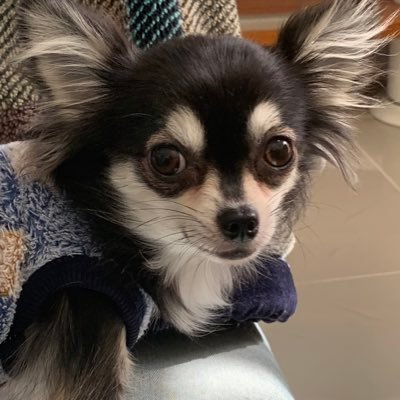 98rnmfkw4g's profile picture. 楽しくしたいですよね