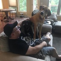 Steven Bell (@stevebellmo) 's Twitter Profile