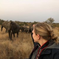 Sarah Gilarsky (@sgilarsky) 's Twitter Profile