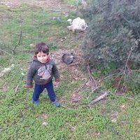 Mennas Khelaf (@mennaskhelaf3) 's Twitter Profile