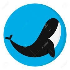 Whale2022A's profile picture. Whale2022