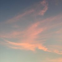 Noof Al Sai'di (@noofdi) 's Twitter Profile Photo