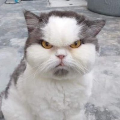 wakacoin's profile picture. Gogogo is my sister @gogogo6269