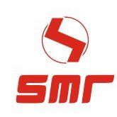 SMR(@SMR_VISION) 's Twitter Profile Photo