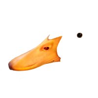 seDUCKtive (@wrinkletheduck) 's Twitter Profile