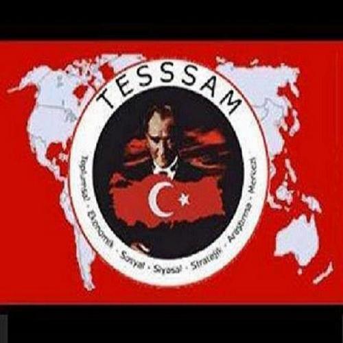 ARAŞTIRMCI-GROFOLOJİ ALANIN DA  ÖZEL ANALİST