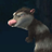 ukok1's profile image