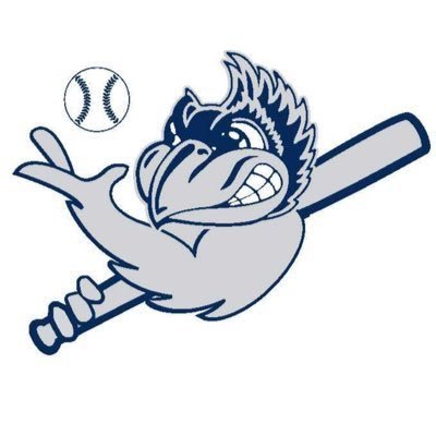 Official Twitter Page For Menasha Baseball