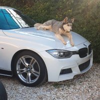 Mr. Negative (@ballybriggo) Twitter profile photo