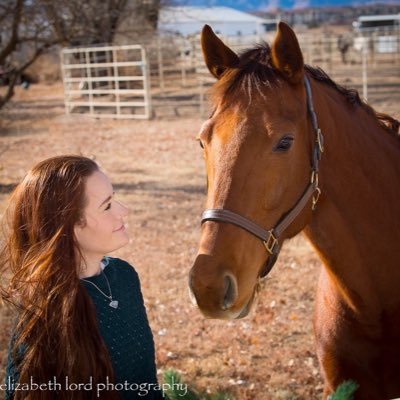 Hoofcare Professional | Geologist by training | she/her 🌋🌄🎿🏔️❄️🏳️‍🌈🐎