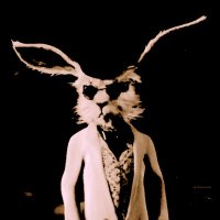 Trading_Rabbit (@trading_rabbit) 's Twitter Profile