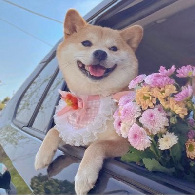 Yuxim7's profile picture. 