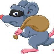 RugpulledRats's profile picture. WL spots available to those who have been rugged