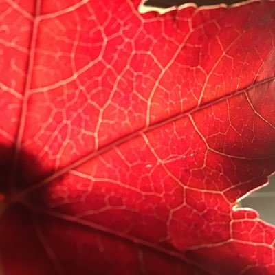 Spreading Humility, Kindness and Looking Out for Mental Health
