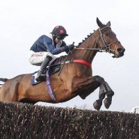 Gordon Phillips (@gordowp) 's Twitter Profile Photo