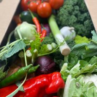 Fruit Basket Direct (@nfbdirect) 's Twitter Profile Photo Fruit Basket Direct (@nfbdirect) 's Twitter Profile Photo