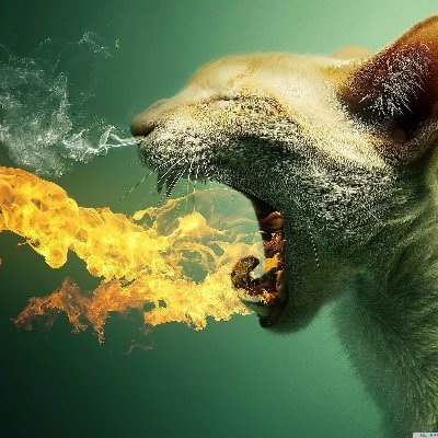 Donovan94694464's profile picture. Get right or get left!
https://t.co/X6JOhSm3d4
Do better Cincinnati!