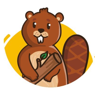 busybeaverseo Profile Picture