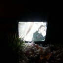 Taylor Rutledge - @truttos - Twitter